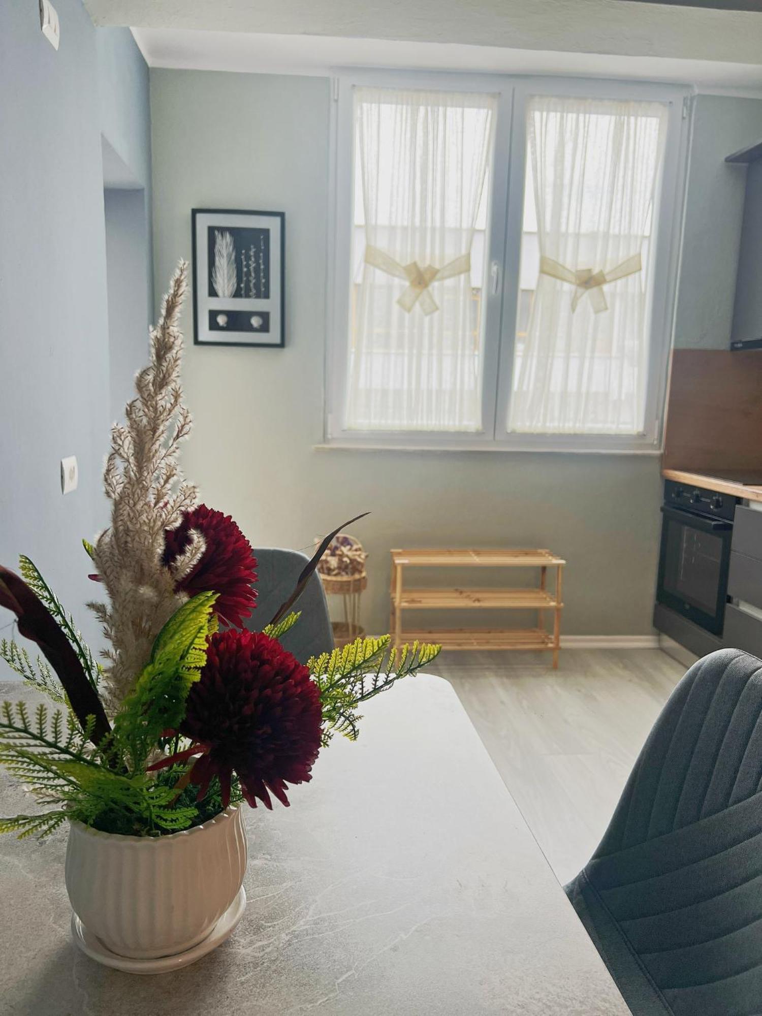 Joyful Apartment تيرانا المظهر الخارجي الصورة