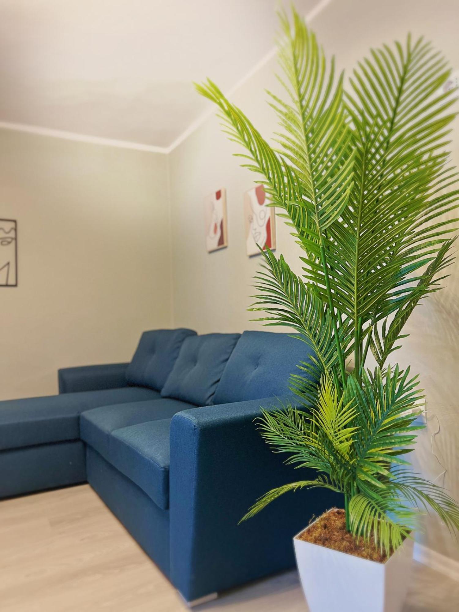 Joyful Apartment تيرانا المظهر الخارجي الصورة